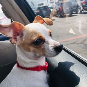 Meet your Posher, Conny